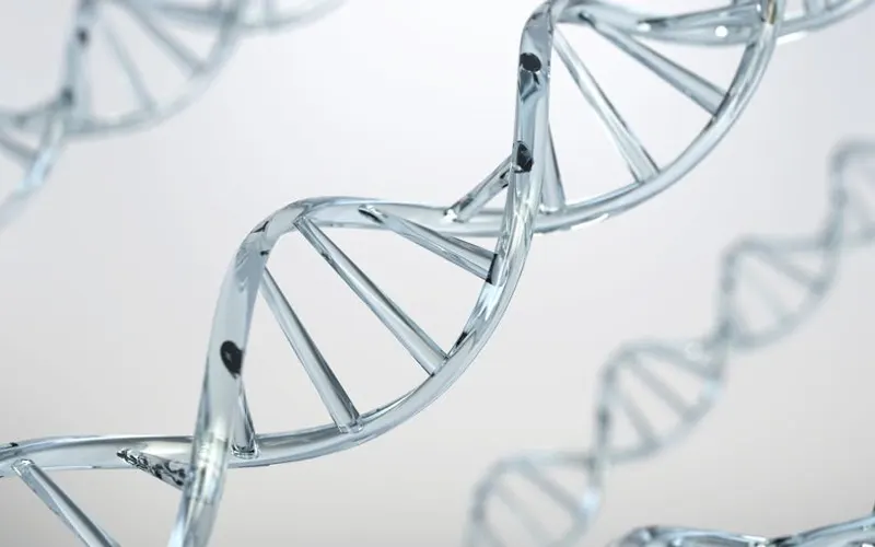 DNA double helix representing exosome skin regeneration
